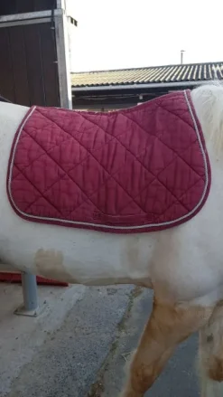 Discount Tapis Tapis De Cso